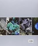 Image de Minerali: bellezze della natura nel Parco delle colline metallifere. Tuscan mining geopark