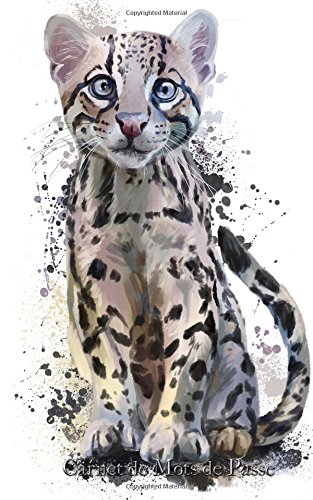 Carnet de Mots de Passe: A5 - 98 Pages - 166 - Chat - Watercolor francais