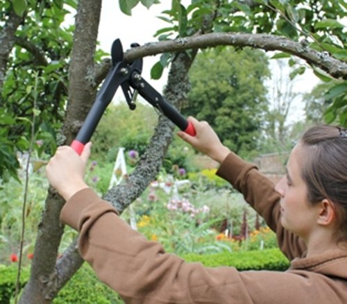 Darlac Handy Ratchet Garden Loppers – Powerful Ratchet Action for Reduced Pruning Effort – Lightweight Action Lopper with 35mm Cut Capacity - SK5 High Carbon Steel Blade