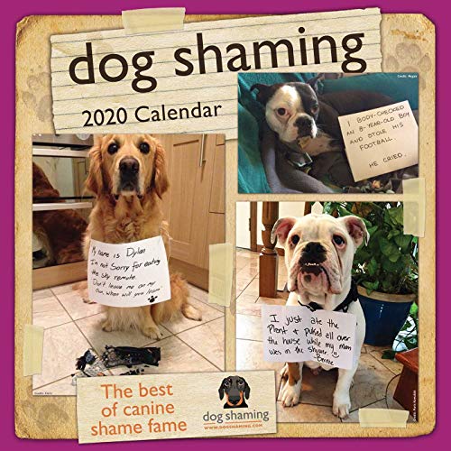Télécharger Dog Shaming 2020 Calendar livre En ligne