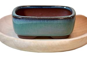 DOKUYIE Rechteckiger Bonsaischopf, dunkelgrün, glasiert, Außenmaße: 8,5 x 6,5 x 3,3 cm