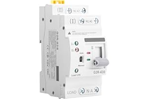 IGEYAPA ATS Interruptor de Transferencia Automática 2P 6-63A 220V Dual Power Automatic Transfer Switch Fotovoltaico Doble Alimentación para Instalaciones Domésticas e Industriales