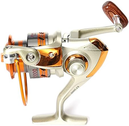 Fishing Reels Saltwater Spinning Reel High Speed Sea Reels Left/Right Interchangeable (2000)