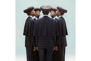 Stromae: Multitude (Greenpack)