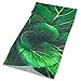 Produktbild FGRYGF Green Vegetables Leaf Plant Headband Unisex Headwrap Magic Head Scarf Bandana Headwear Neck Scarf Multifunction Hairband Cute Headdress Scrunchie Face Mask Neck Gaiter
