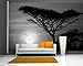 Produktbild selbstklebende Fototapete - Akazienbaum im Sonnenuntergang, Tanzania Serengeti Afrika - schwarz weiss - 150x100 cm - Wandtapete – Poster – Dekoration – Wandbild – Wandposter - Bild – Wandbilder - Wanddeko