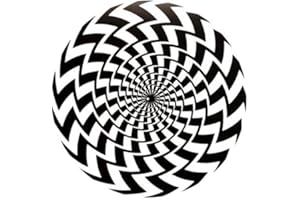 123T SLIPMATS DJ Record Turntable Slipmats BLACK AND WHITE ILLUSION SLIPMAT x 1 (Single)