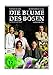 Die Blume des Bösen