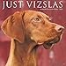 Produktbild Just Vizslas 2020 Calendar