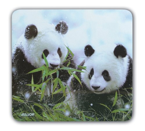 Allsop 06051 ECO Friendly Panda Mousepad (Qualitätsprodukt aus 40% Recycling-Material) mit Panda-Motiv