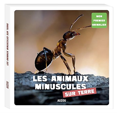 couverture de : Les animaux minuscules sur terre