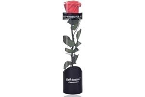 VEGTRUG Dewanxin Rosa Eterna,Rosa Natural Preservada,para Decoración del Hogar Boda San Valentín Día de la Madre Navidad Aniversario Cumpleaños - Roja (Red)