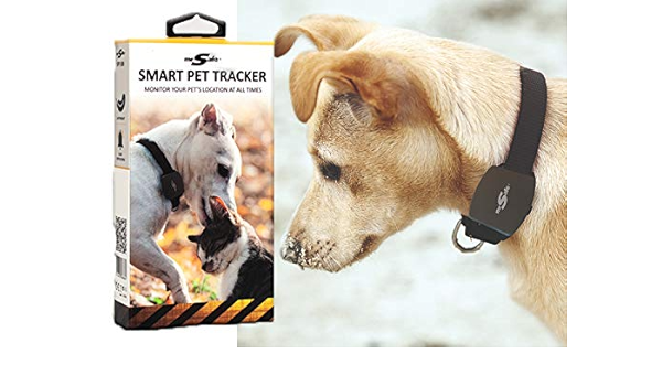 dog gps tracker amazon