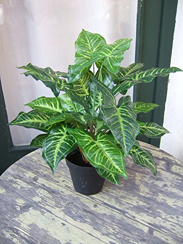 Künstliche Nephthytis Pflanze getopft ca. 45cm Top Qualität - 5