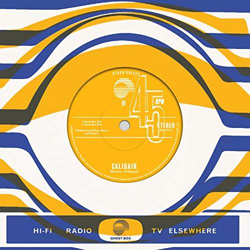 Preisvergleich Produktbild Other Voices 01 [Vinyl Single]