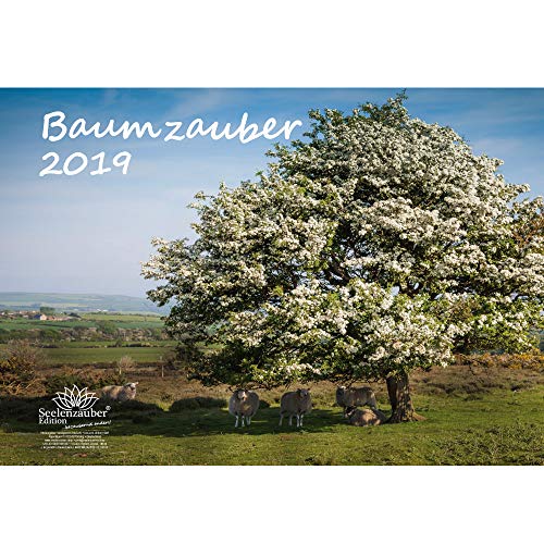 Download Arbre magique – Format A3 – Haute Calendrier 2019 – Sapin – Arbre – – Coffret cadeau avec 1 carte de vœux et 1 carte de Noël – Édition âme magique