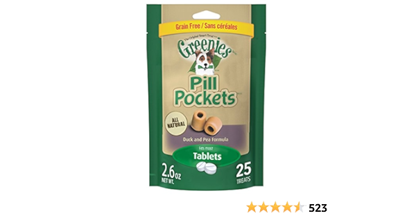 german wirehaired vizsla