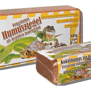 [Gesponsert]24 x 650 Gramm Kokoseinstreu Kokoserde Humusziegel Bodengrund für Reptilien Terrarium Einstreu Cocoground Kokosgrund Kokoshumus Kokosziegel Kokosfaser Briketts Kokobricks -fein-