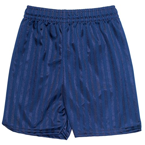 ND SportsND Sports School Shadow Stripe PE Shorts