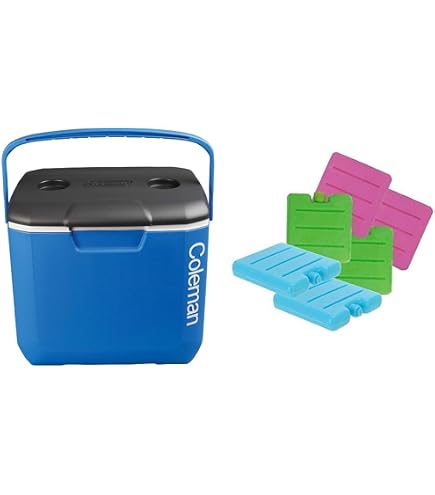igloo sportsman profile 2 30qt cooler