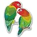Produktbild 2 x 30cm/300mm Liebe Vögel Vinyl SELBSTKLEBENDE STICKER Aufkleber Laptop reisen Gepäckwagen iPad Zeichen Spaß #5036