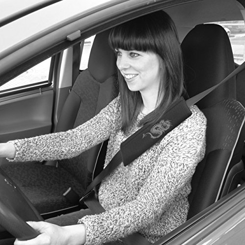 Carpoint 1410035 Gurtpolstersetz ‚Drachen‘, rot - 3