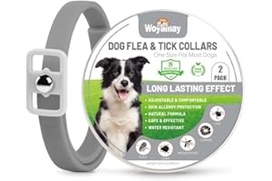 Woyamay Collier Anti Puces pour Chien, Réglable Résistant à l'eau Collier Chien Anti Puces et Tiques, 8 Mois Naturel Collier Anti Tique Chien pour Chien Toutes Races et Tous âges - Gris