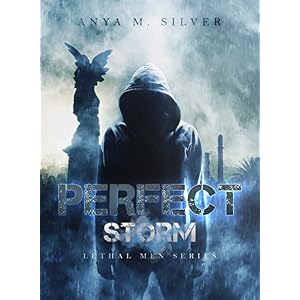 Perfect Storm (Lethal Men 4)