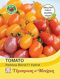 Germinación de las semillas ALTOS NO SÓLO PLANTAS: Thompson & Morgan - Verduras - Tomate RainbowF1 híbrido - 5 de semillas