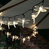 Festive Lights Guirlande Solaire Libellule 10m 100 LED (Blanc Chaud)