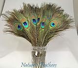 Material: pluma natural Lyanther Leegoal 50pcs pluma de pavo real natural cerca de 10-12 pulgadas