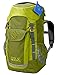 Produktbild Jack Wolfskin Kinder Kids Explorer Wandern Outdoor Trekking Rucksack, Green Tea, ONE Size