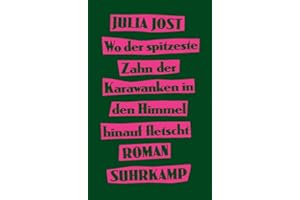 Wo der spitzeste Zahn der Karawanken in den Himmel hinauf fletscht: Roman | Eine Coming-of-Age-Geschichte voller Drive und Witz