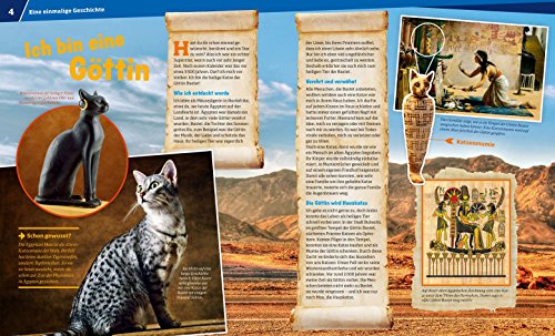 WAS IST WAS Band 59 Katzen. Flinke Jäger auf Samtpfoten (WAS IST WAS Sachbuch, Band 59) - 3