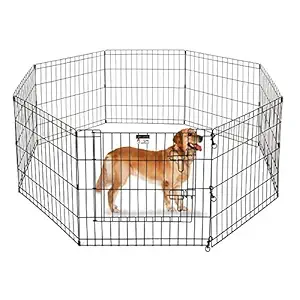 Dog Trust 24 Inch Playpen for Dogs 8 24 x 24-inches High Panels (Black)