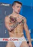 Falcon 2017 by 