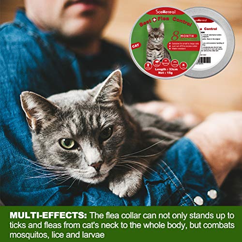 SCENEREAL-Collier-Anti-puces-et-tiques-pour-Chat-8-Mois-de-Protection-rglable-pour-Chatons-Chiots-et-Petits-Animaux-domestiques