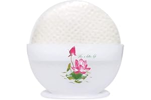 OG ASIA für vietnamesische Frühlingsrollen (Medium)