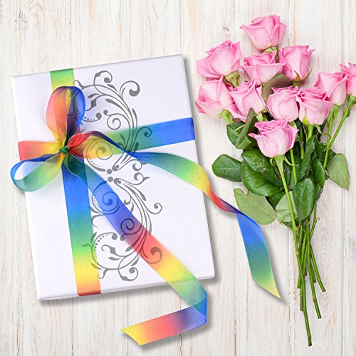 Shappy 50 Yard 1 Zoll Schimmer Sheer Organza Band, Regenbogen Farben - 3