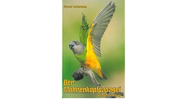 Der Mohrenkopfpapagei Biologie Und Haltung Amazon De Lantermann Werner Bucher