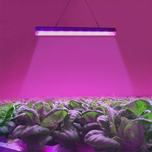 Light Bulbs, Home Bulbs T5 4.8W 24 LEDs LED Plant Growth Light Greenhouse Light Aquarium Light Bulbs (SKU : T5 4.8w/24 leds)