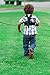 Diono Sure Steps Child Safety Harness