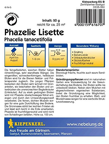 Kiepenkerl 910469 Phacelia Lizette, 50 g - 2