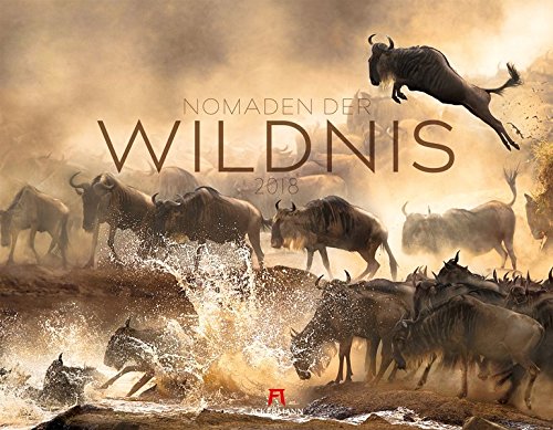 Nomaden der Wildnis 2018