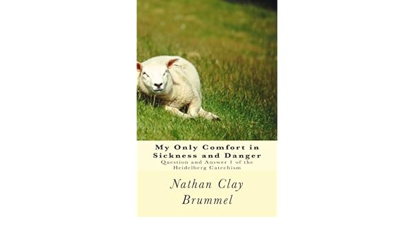Buy My Only Comfort In Sickness And Danger Question And Answer 1