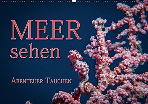 Meer sehen - Abenteuer Tauchen (Wandkalender 2016 DIN A2 quer): Faszinierende Unterwasseraufnahmen von den Bewohnern tropischer Korallenriffe (Monatskalender, 14 Seiten) (CALVENDO Tiere)