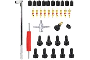 GTIWUNG 23Pcs Demonte Valve Pneu Outil Remover pour Voiture Remplacement, Valve Core 10pcs, 4-1 Outil de Réparation - Tire Repair Kit