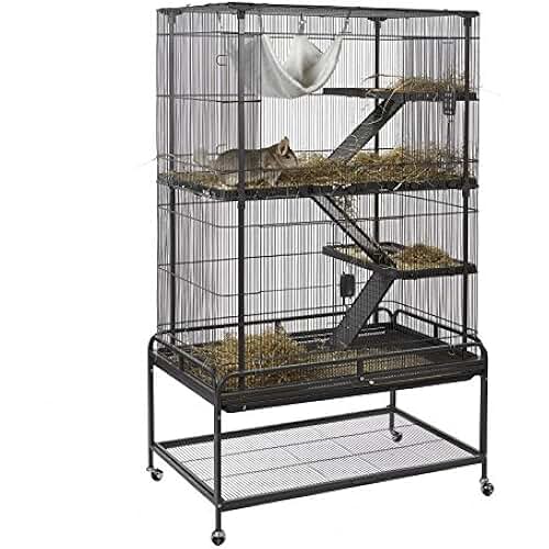 Amazon.fr cage a octodon