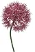 Produktbild Allium 51cm lila