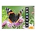 A5 Adult Large Scale Room Thermometer - Butterfly